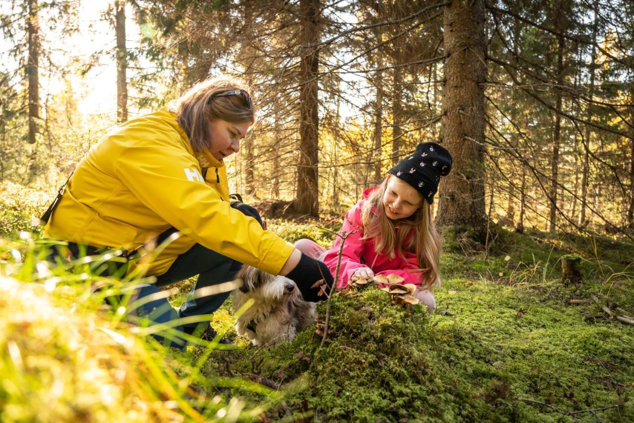 Guesthouse Koli Freetime Ahmovaara Exteriér fotografie