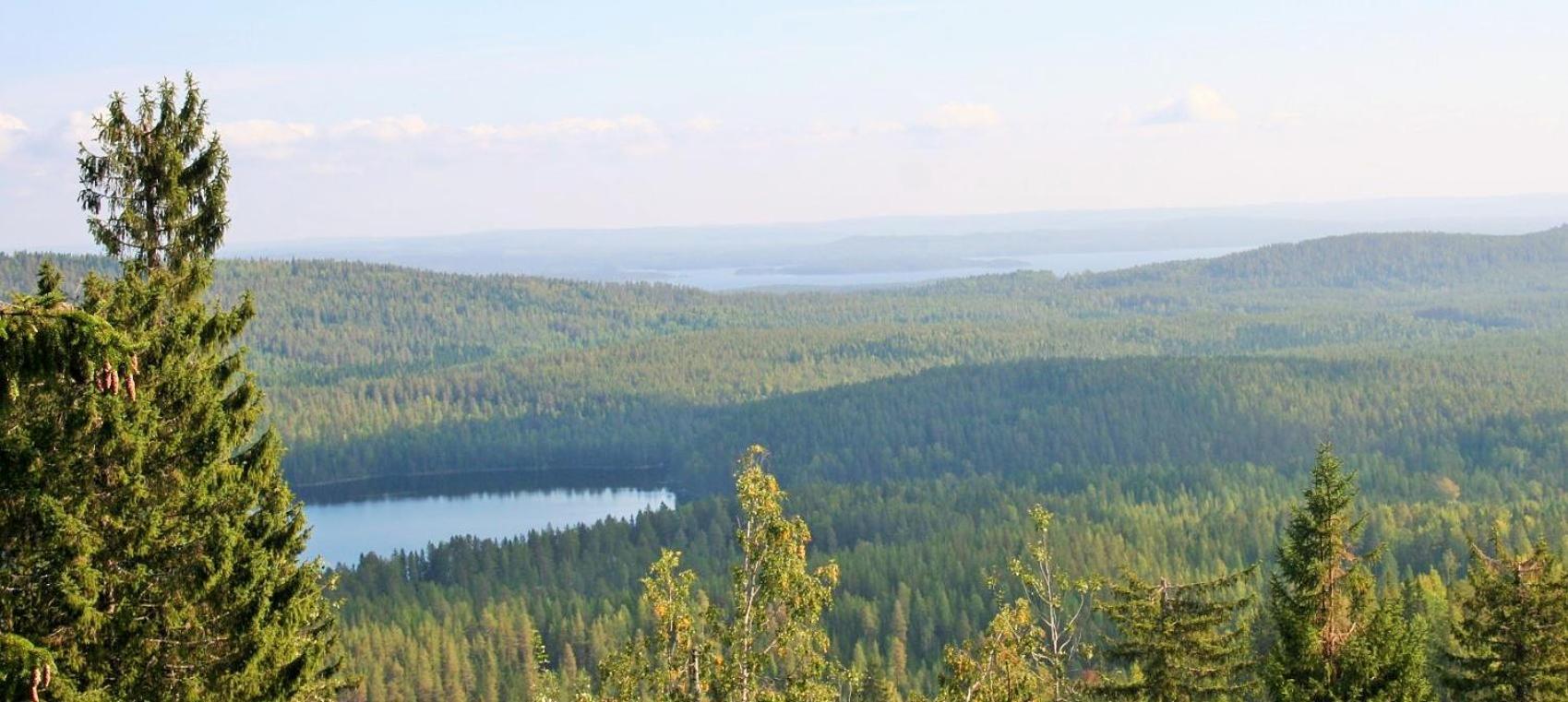 Guesthouse Koli Freetime Ahmovaara Exteriér fotografie