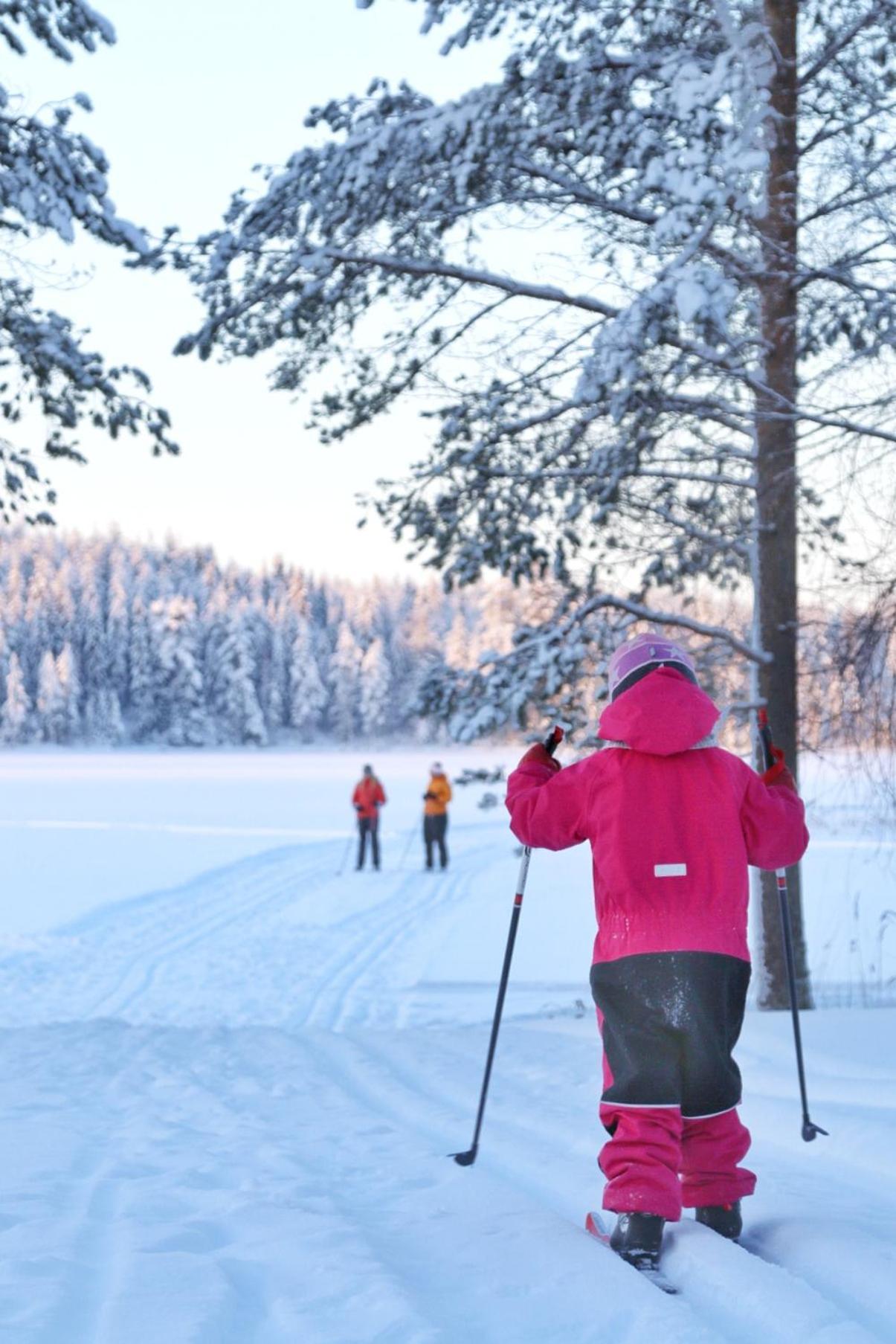 Guesthouse Koli Freetime Ahmovaara Exteriér fotografie