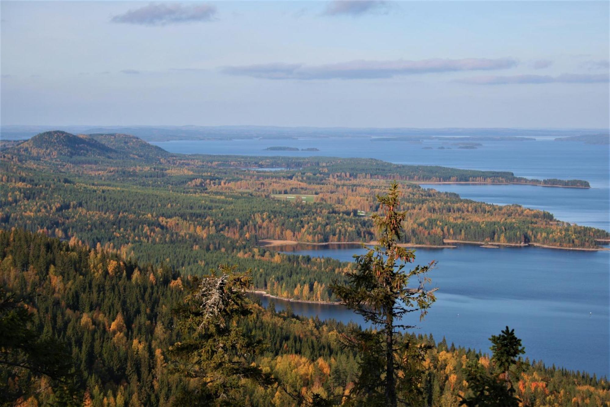 Guesthouse Koli Freetime Ahmovaara Exteriér fotografie